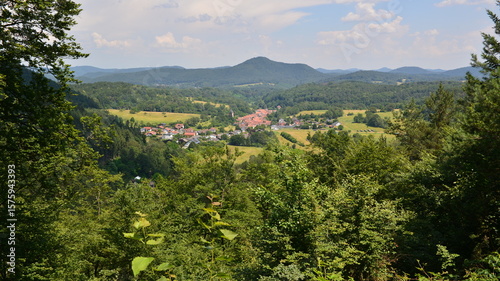 Pfälzer Wald_047