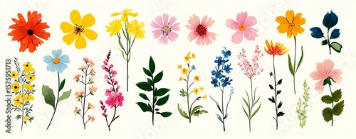 Collection of spring colorful flower elements vector. Set floral of wildflower Colorful hand-drawn flowers in various arrangements.