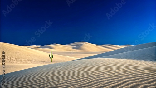 Fototapeta Naklejka Na Ścianę i Meble -  Lone cactus in vast desert sand dunes under deep blue sky

