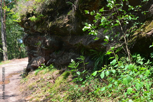 Pfälzer Wald_040
