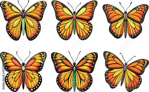 Monarch butterflies with orange and yellow wings on a white background