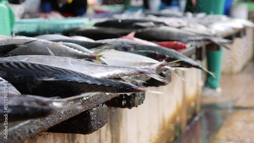 Freshly caught fish displayed on a market stall. Various species are visible, showcasing their scales and colors. The setting is a busy fish market.