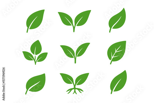 Green leaves icons set in flat style. Collection of leaf silhouettes for environment, nature, eco signs. Organic, vegan, bio, natural product. Ecology plant sprout element.