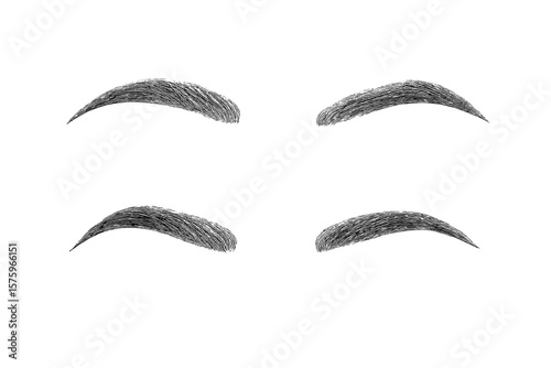 Realistic Eyebrow Shapes Collection. Four Natural Eyebrow Styles. Detailed Hair Texture. Female Eyebrow Set. Cosmetic Beauty Illustration. Vector Isolated on Transparent Background