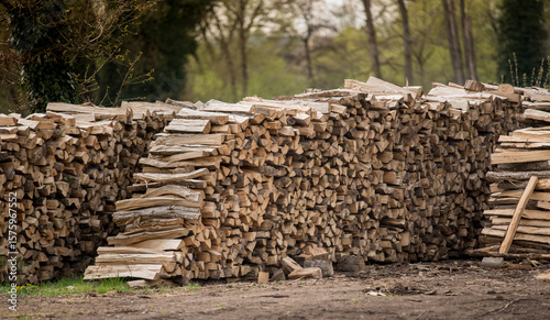 Dry oak wood ready for heating. Wooden logs stacked on top of each other. Stack of wood, firewood, background.