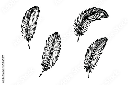 Hand Drawn Feather Collection. Black Ink Bird Plumes. Isolated Decorative Feathers Set. Vintage Boho Style. Nature Symbol. Ornamental Elements. Tattoo Design. Ethnic Tribal Art. White Background