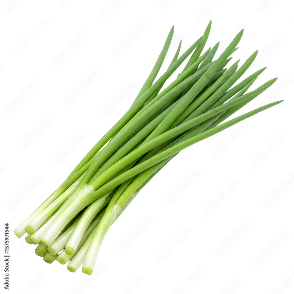 Bunch of Fresh Green Onion Stalks on Isolated White Background Bunch of Fresh Green Onion Stalks on Isolated White Background