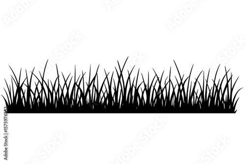 Grass silhouette vector illustration. Horizontal grass border for design. Black line of lawn or meadow on a field. Nature landscape element. Fresh park plant growth concept.