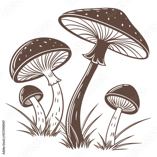 vector illustration of mushrooms
