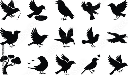 Twenty- Five Black Bird Silhouettes in Various Poses and Actions