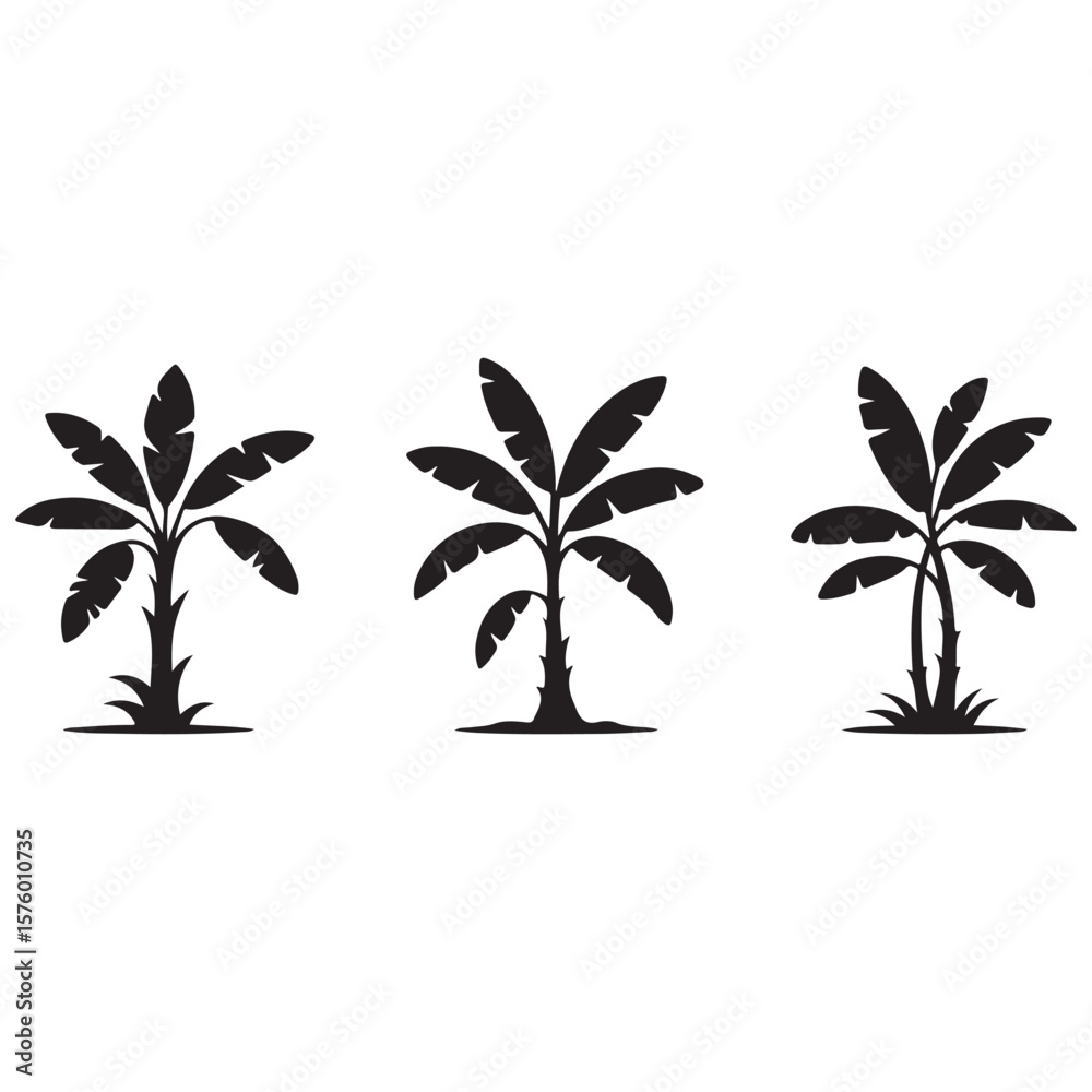 Obraz premium palm tree vector illustration