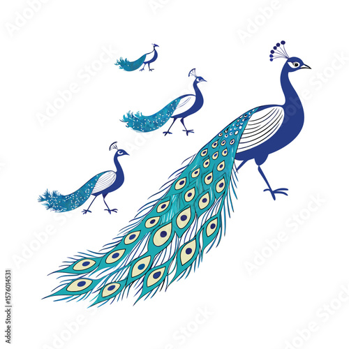 peacock with feathers