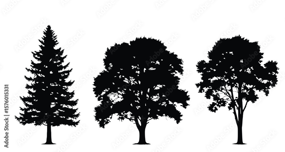 Fototapeta premium Tree Trio Silhouette: A collection of elegant silhouettes showcasing a variety of tree species, perfect for adding a touch of nature's charm to any design.