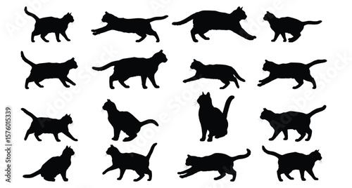 Cat Silhouettes: Diverse black cat silhouettes. A variety of dynamic poses, perfect for design elements and creative projects, showcasing agility and elegance