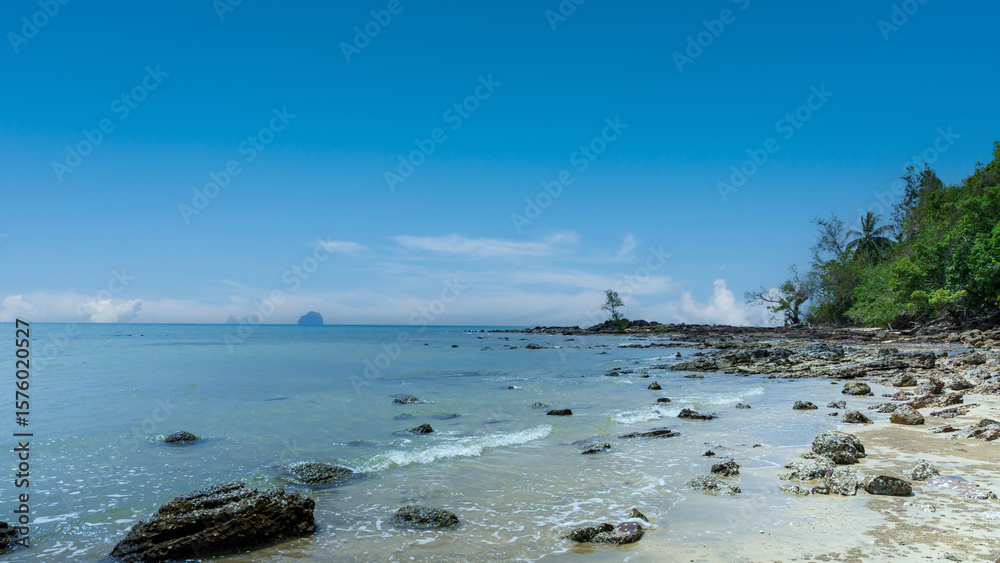 Fototapeta premium Landscape of tropical beach with trees and blue sky