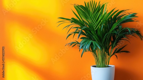 Vibrant indoor palm plant against an orange wall.