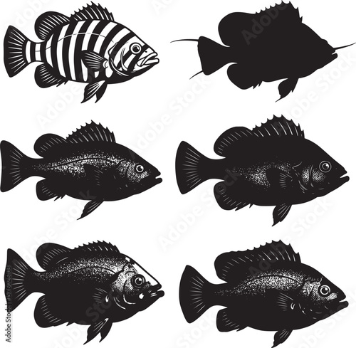 Black and white largemouth bass fishing with a jumping fish and fisherman in a boat  