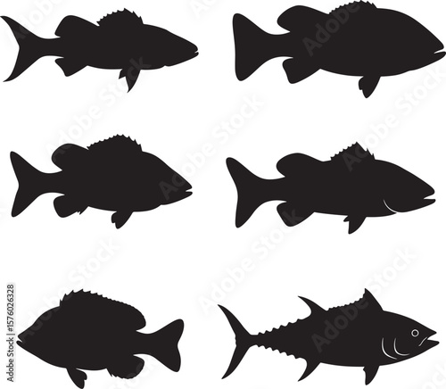 Black and white largemouth bass fishing with a jumping fish and fisherman in a boat  