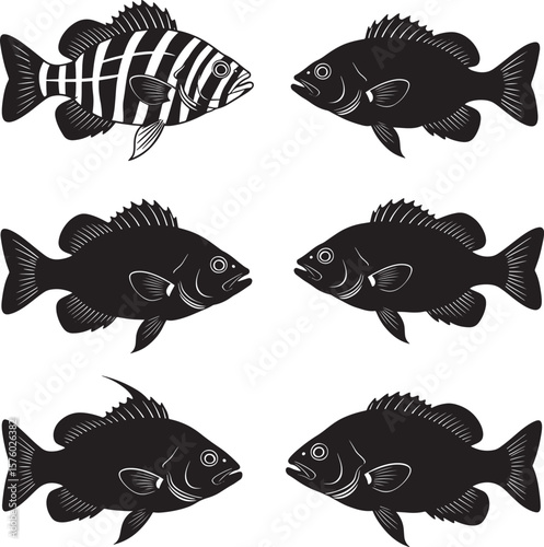 Black and white largemouth bass fishing with a jumping fish and fisherman in a boat  