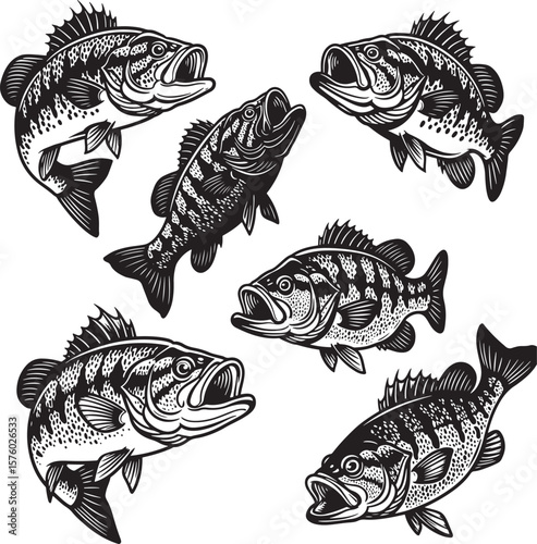 Black and white largemouth bass fishing with a jumping fish and fisherman in a boat  
