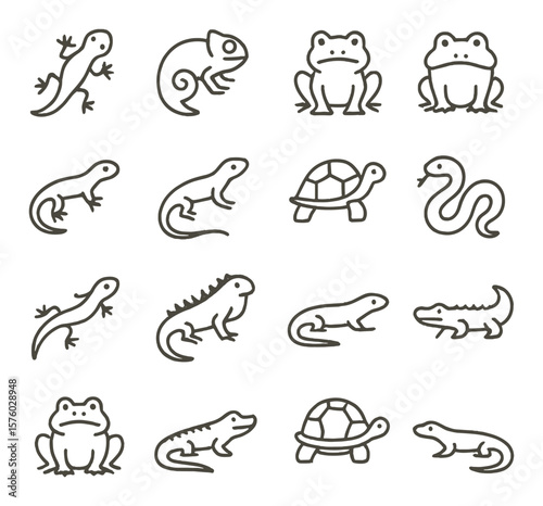 Reptiles and Amphibians line art icons. gecko, chameleon, frog, toad, newt, lizard, turtle, snake, salamander, iguana, skink, caiman, bullfrog, crocodile, terrapin, monitor lizard.
