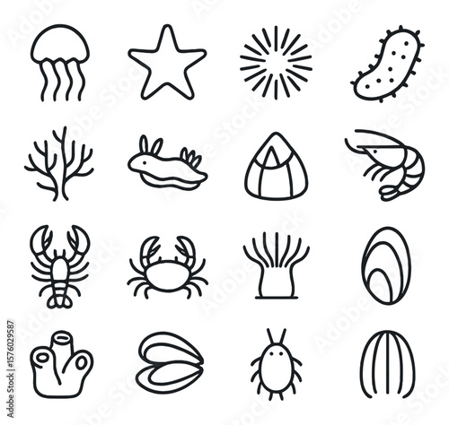 Marine Invertebrates line art icons. jellyfish, sea star, sea urchin, sea cucumber, coral, nudibranch, barnacle, shrimp, lobster, crab, anemone, mussel, sponge, clam, plankton,