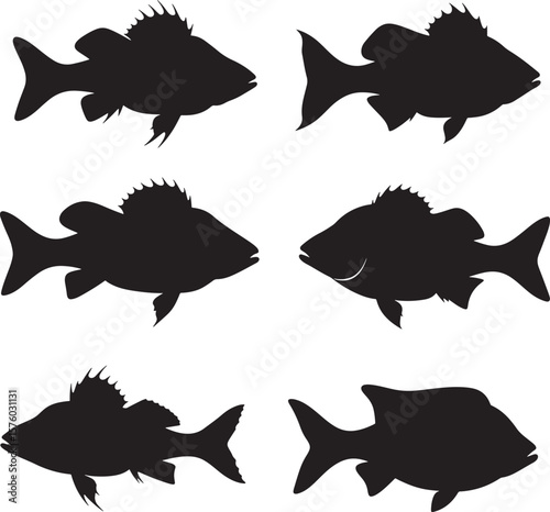 Please specify which of the three images you would like a name for