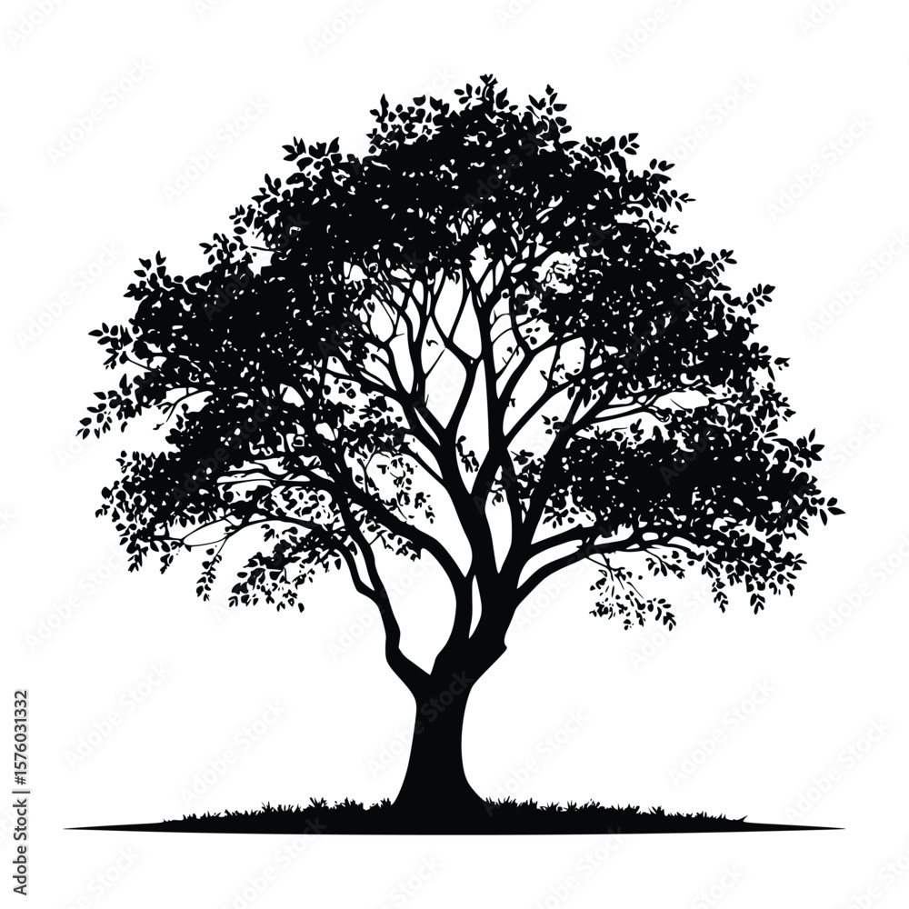 Obraz premium Silhouette Trees Vector – Black Tree Shapes Collection for Design and Illustration