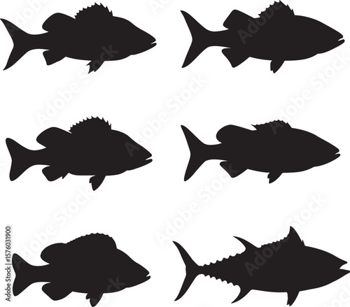 Silhouettes of various fish species including tuna bass and snapper