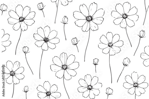 A delicate and charming black and white line art illustration featuring a scattered pattern of cosmos flowers and buds on a clean white background