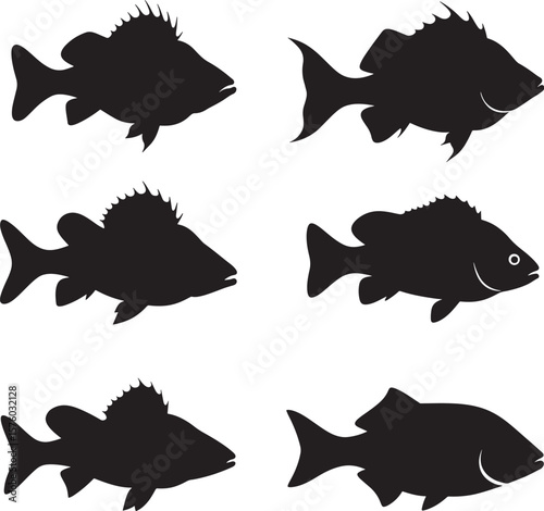 Spiny Fin Fish Silhouettes Set Black Vector