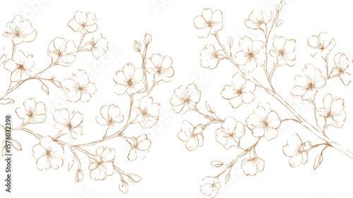 Elegant watercolor illustration of delicate blooming branches with subtle brown outlines and soft beige petals on a clean white background