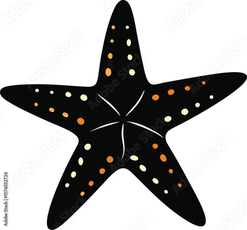 sea star fish marine illustration
