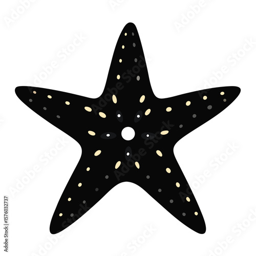 sea star fish marine illustration