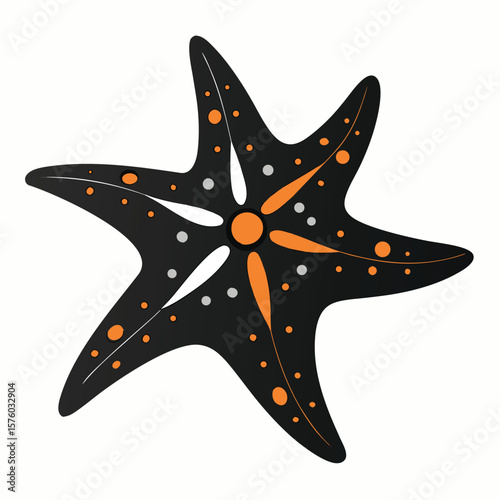 sea star fish marine illustration