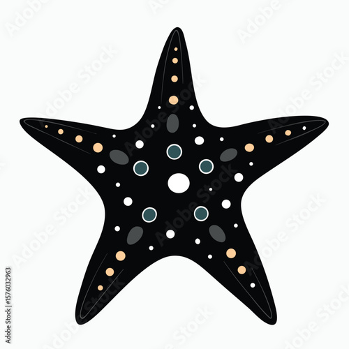 sea star fish marine illustration