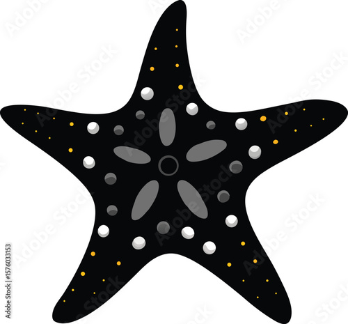 sea star fish marine illustration