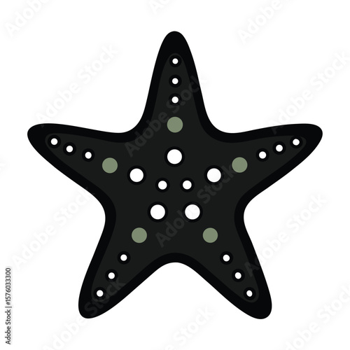 sea star fish marine illustration