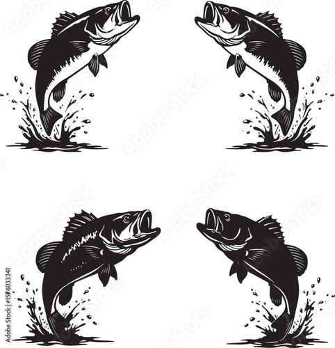 This image features jumping bass fish with splashes