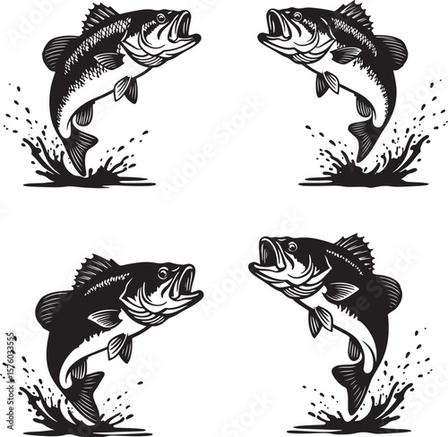 This image features multiple jumping bass fish
