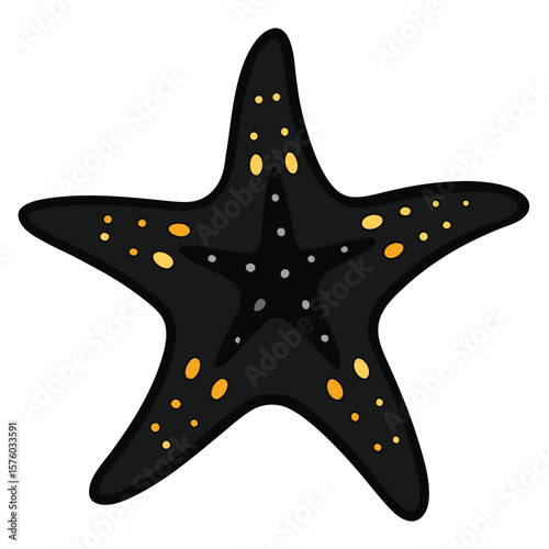 sea star fish marine illustration