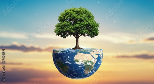 A tree growing from a half earth globe against a sky with clouds and stars