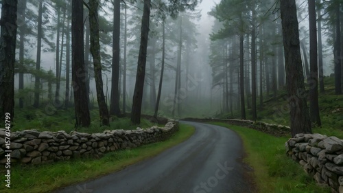 Scenic forest road surrounded by trees and greenery