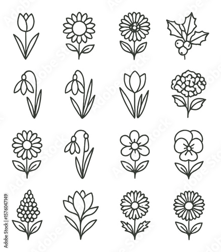 Seasonal Blooms line art icons. spring tulip, summer sunflower, autumn chrysanthemum, winter holly, snowdrop, daffodil, crocus, hydrangea, zinnia, bluebell, cosmos flower, pansy,