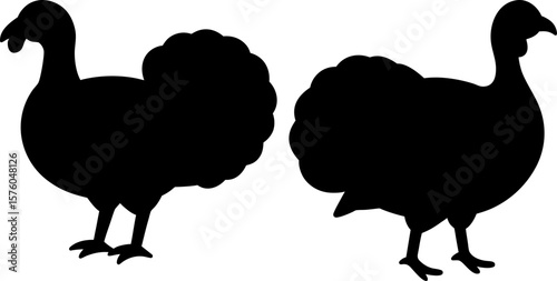 Turkey vector, Vector of Turkey, A set of Turkey animal art designs, Turkey icon isolated