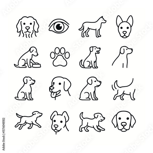 Animal Welfare Signs line art icons. healthy coat, bright eyes, steady gait, alert ears, regular eating, clean paws, friendly behavior, smooth breathing, clean fur, hydrated mouth,