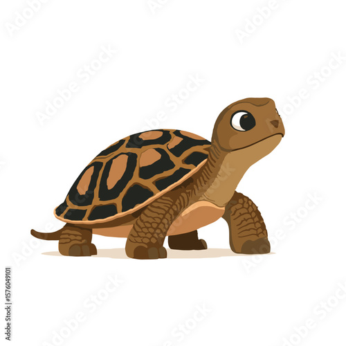 Cute turtle with a patterned shell standing illustration on a white background