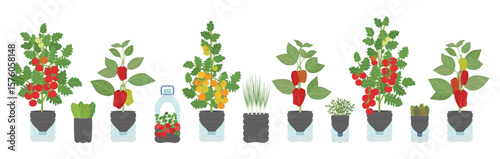 Set of DIY self-watering plastic bottle planters with vegetables and greens at home. Vertical garden, urban farming concept. Hand-drawn vector illustration