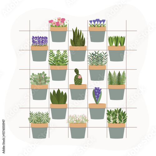 Illustration of planters with plants and flowers at home. Vertical urban garden concept. Hand-drawn vector illustration