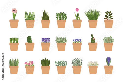 Set of illustration of planter with plants and flowers. Vertical urban garden concept. Hand-drawn vector illustration